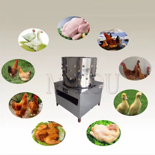 Poultry machines