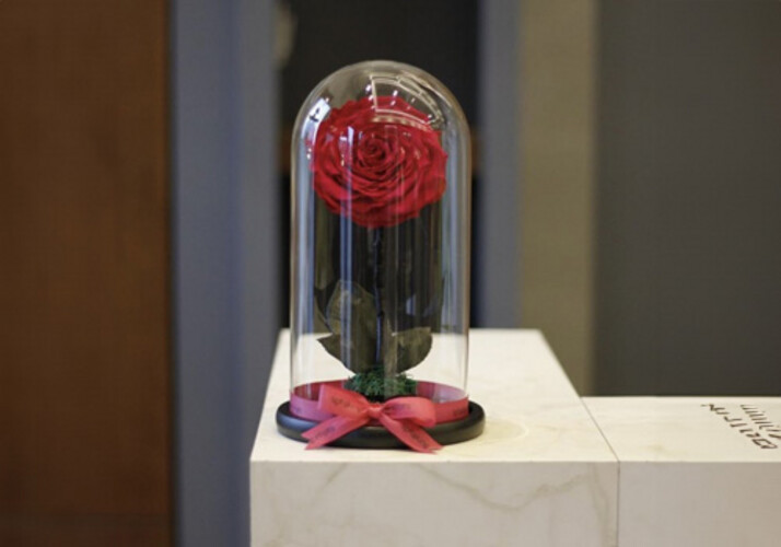Perpetual Rose Vase