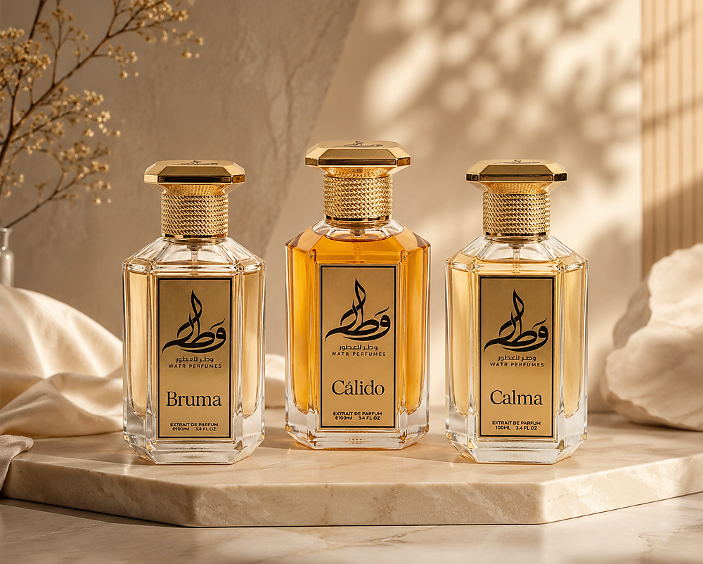 مجموعة الحضور