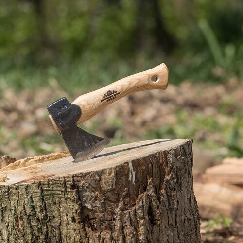 AXE