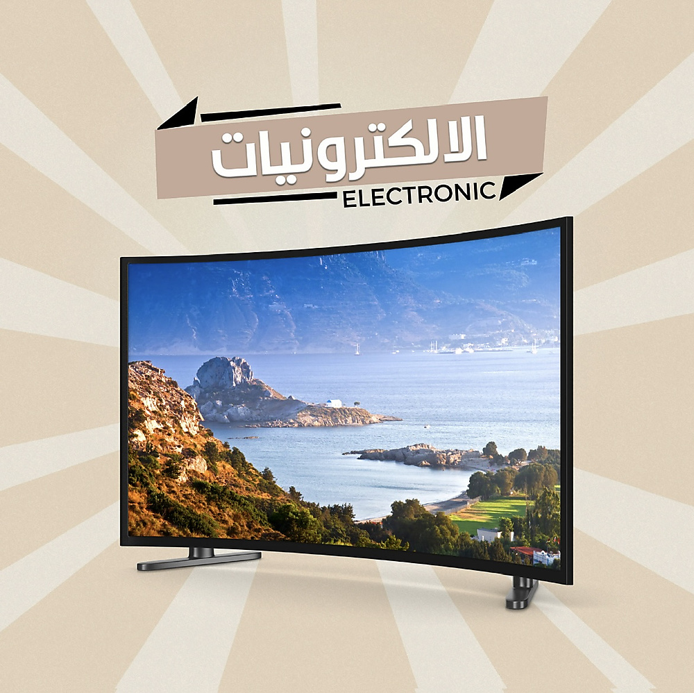 Electronic Section