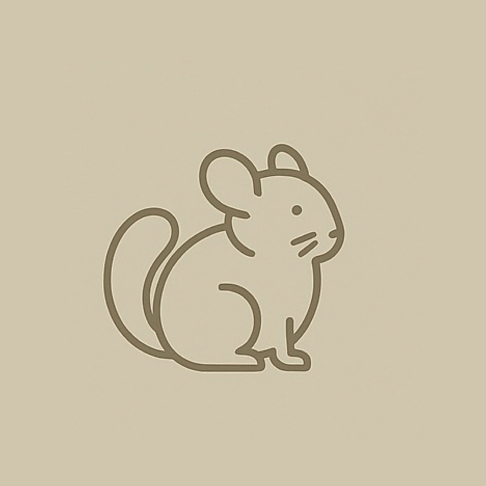 Chinchilla
