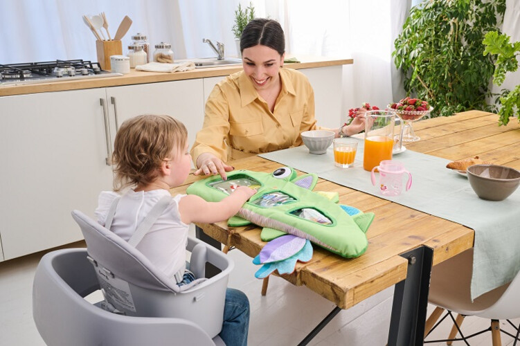 Chicco Toys