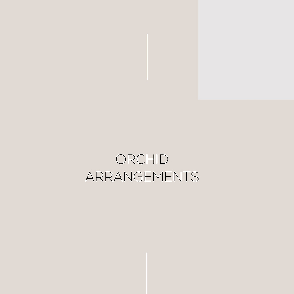 تنسيقات الاوركيد