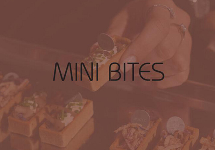 PREMIUM MINI BITES
