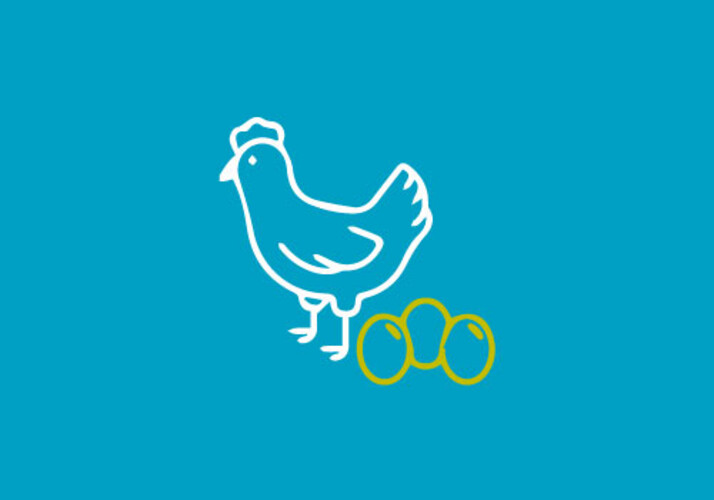 Chicken, Eggs and Fresh