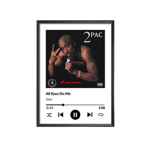 Singers Frame