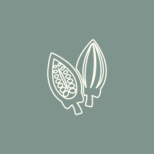 شوكولاتة