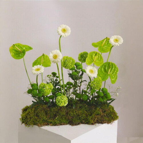 ورد الطاولات