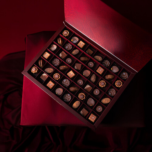 صهيل الشوكولا