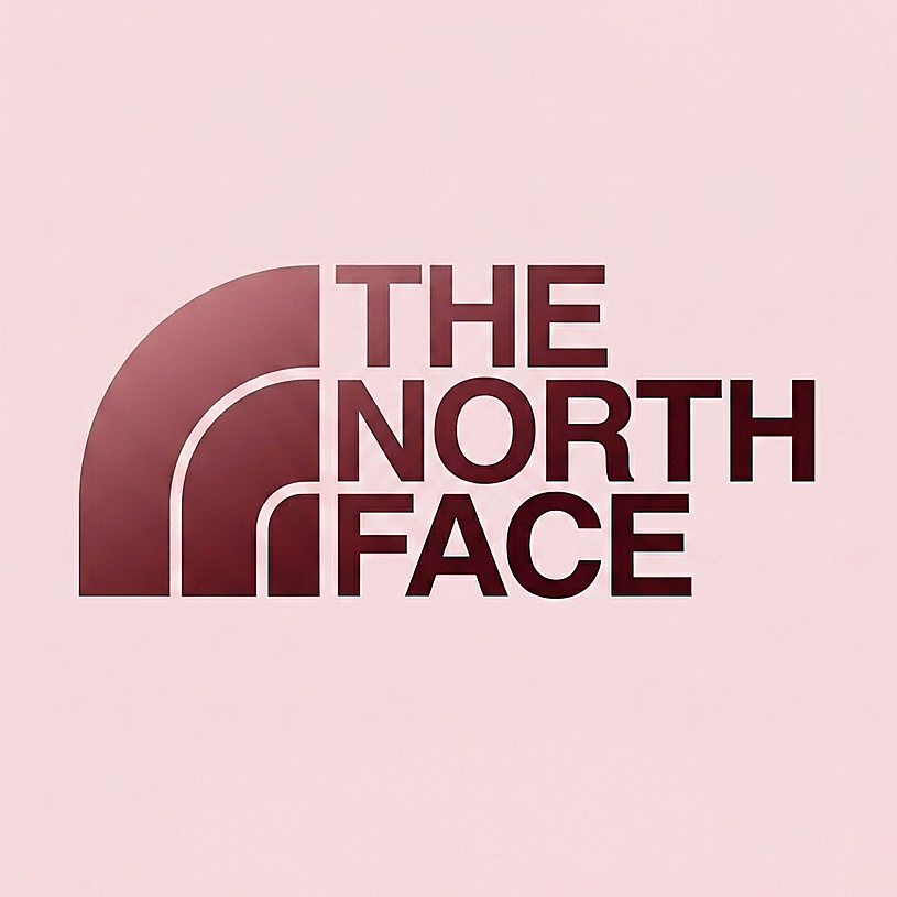 northface backpacks