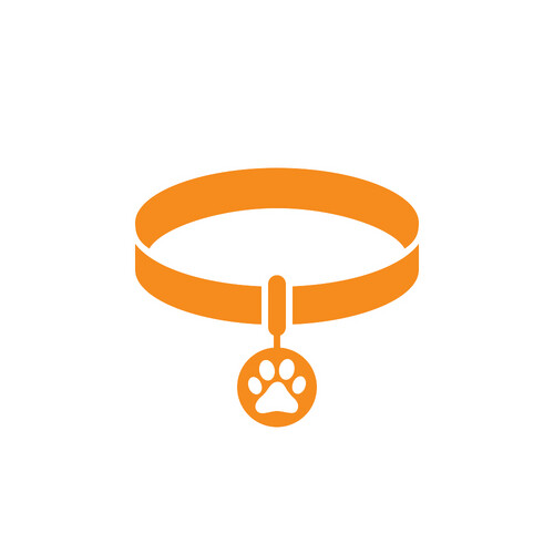 الأطواق والسلاسل