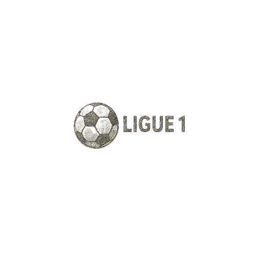 الدوري الفرنسي