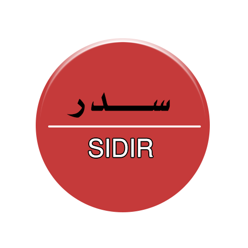 سدر