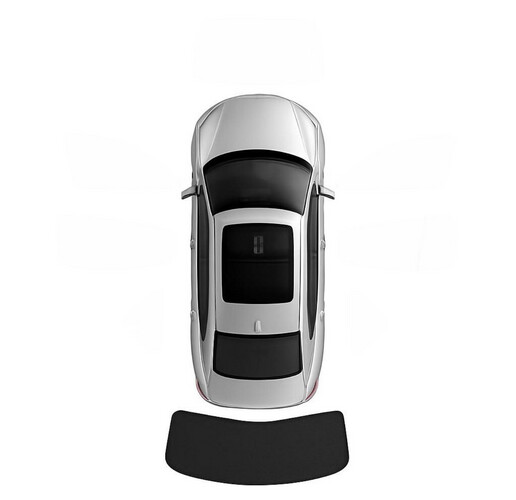 الجام الخلفي