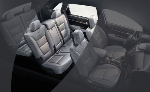 كراسي الخلفية