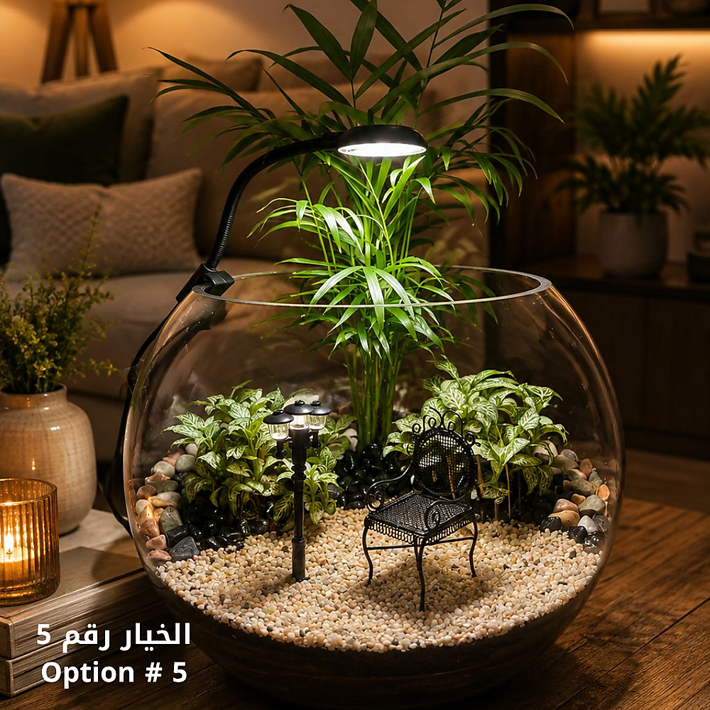 الخيار رقم 05