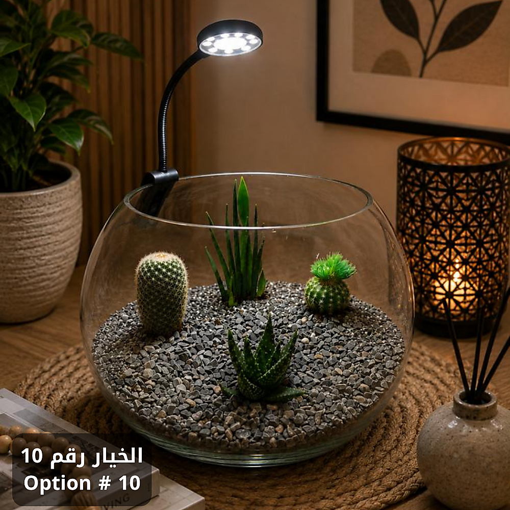 الخيار رقم 10