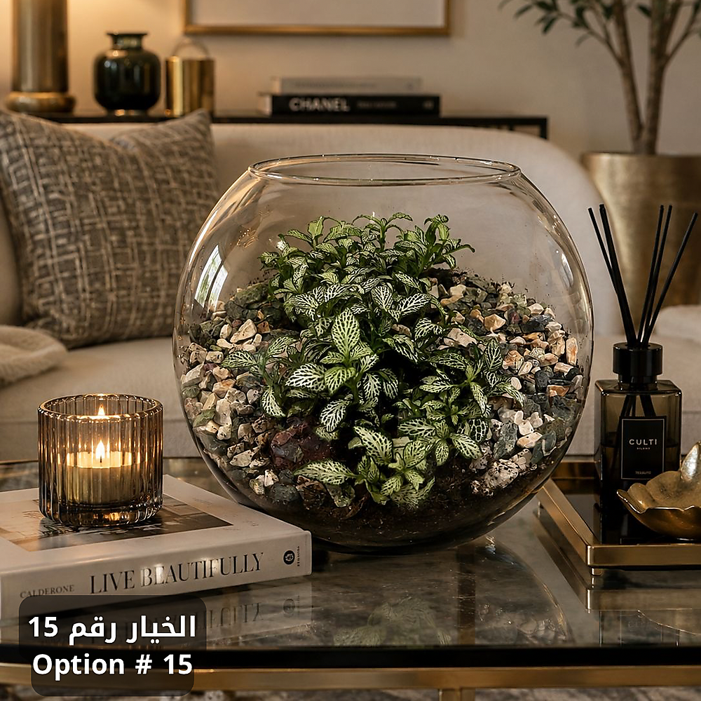 الخيار رقم 15