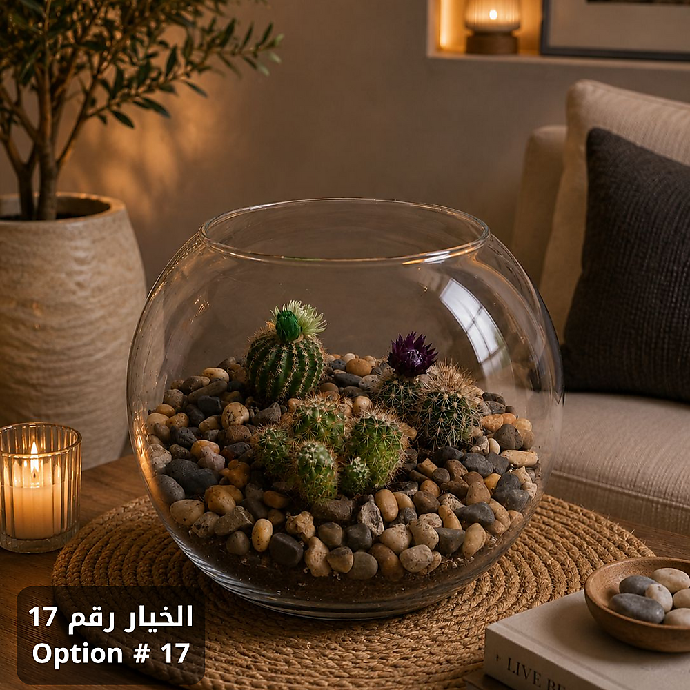 الخيار رقم 17