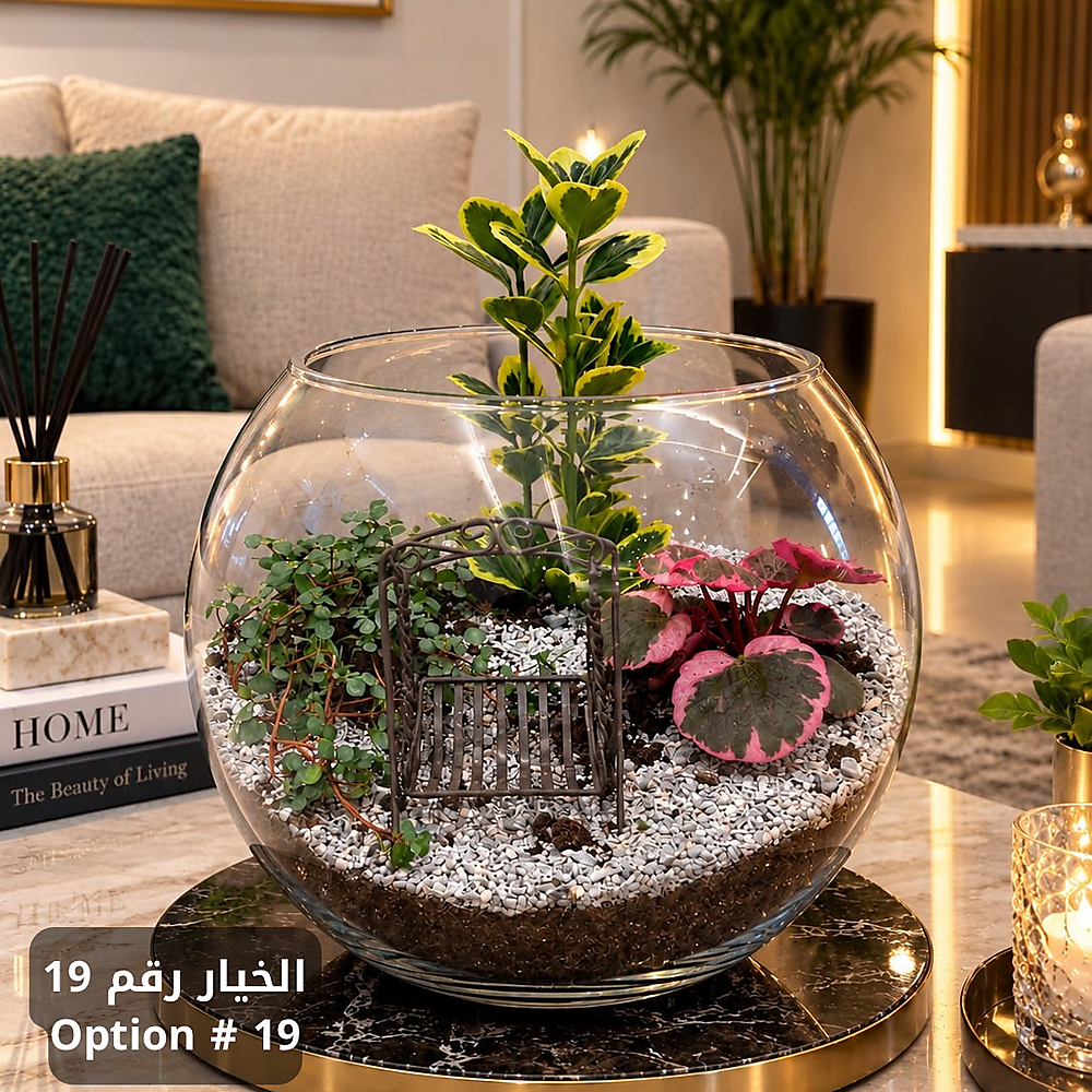 الخيار رقم 19