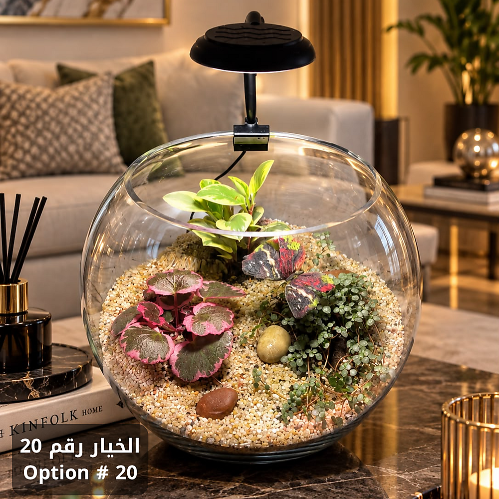 الخيار رقم 20