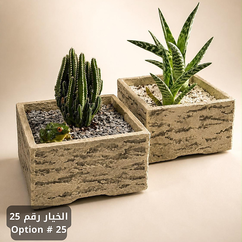 الخيار رقم 25
