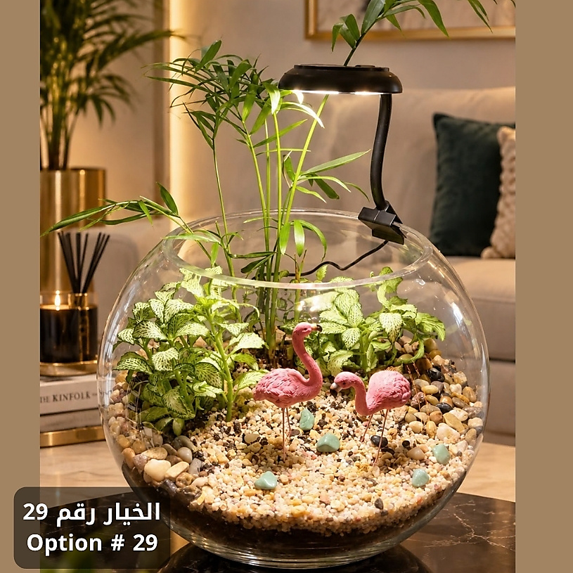 الخيار رقم 29