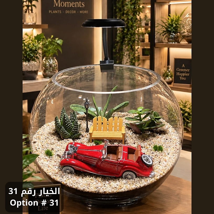 الخيار رقم 31