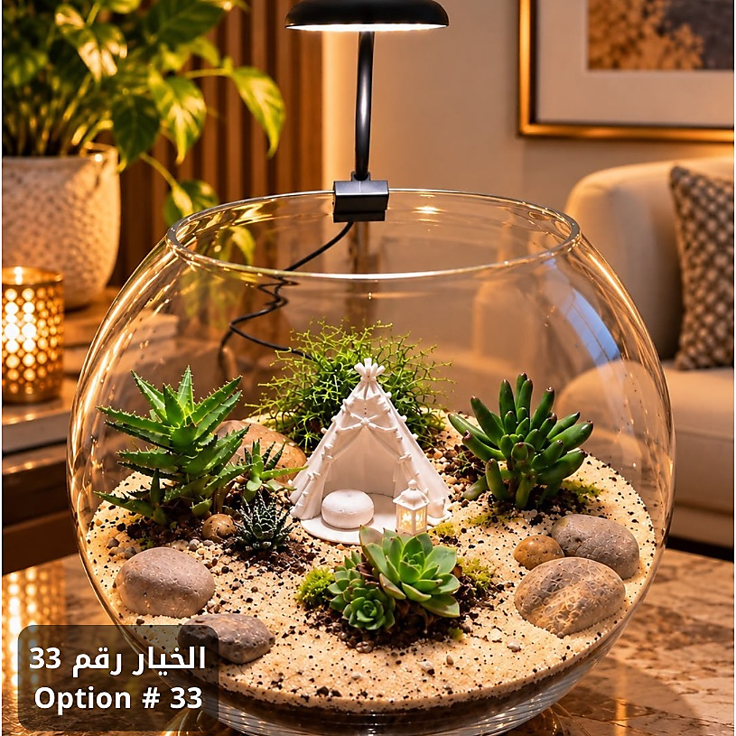 الخيار رقم 33