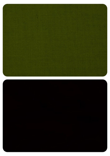 Olive and Black