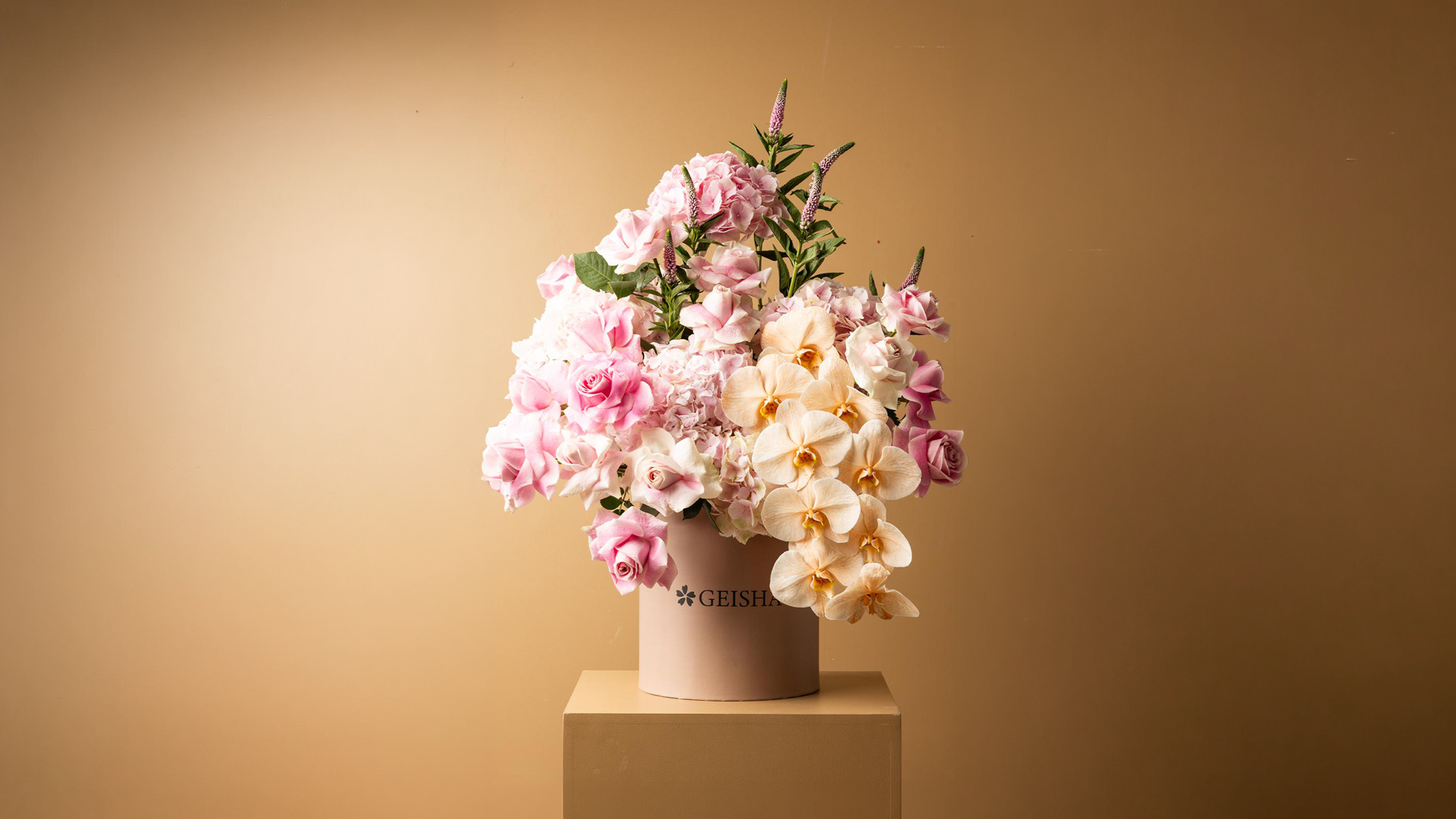 Welome To Geisha Flower