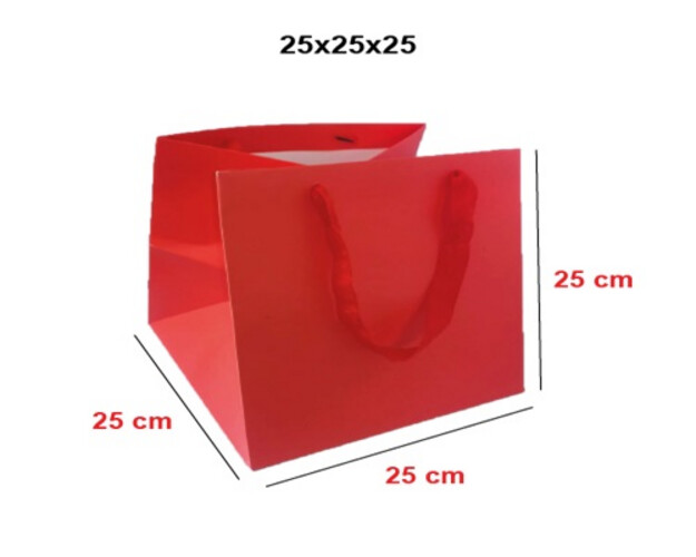 Red square bag, size 25, pack of 10 pieces