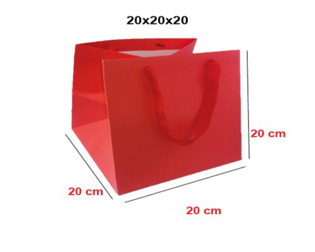 Paper Bag Red Size 20 CM Packet 10 Pieces