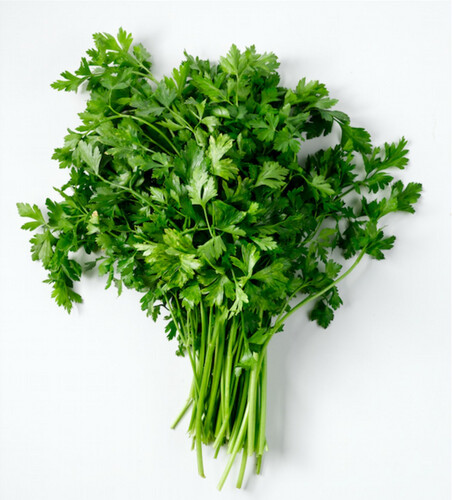 Fresh Parsley Bunch