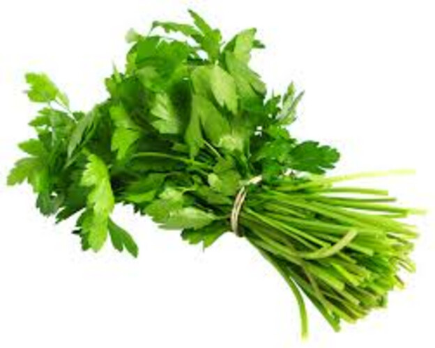 Fresh Coriander Bunch