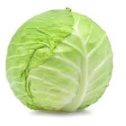 Jordanian White Cabbage Kg