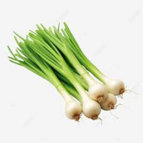 Kuwaiti Spring Onion Bunch