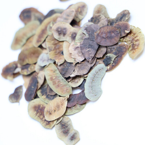 ورق بذور العشرج