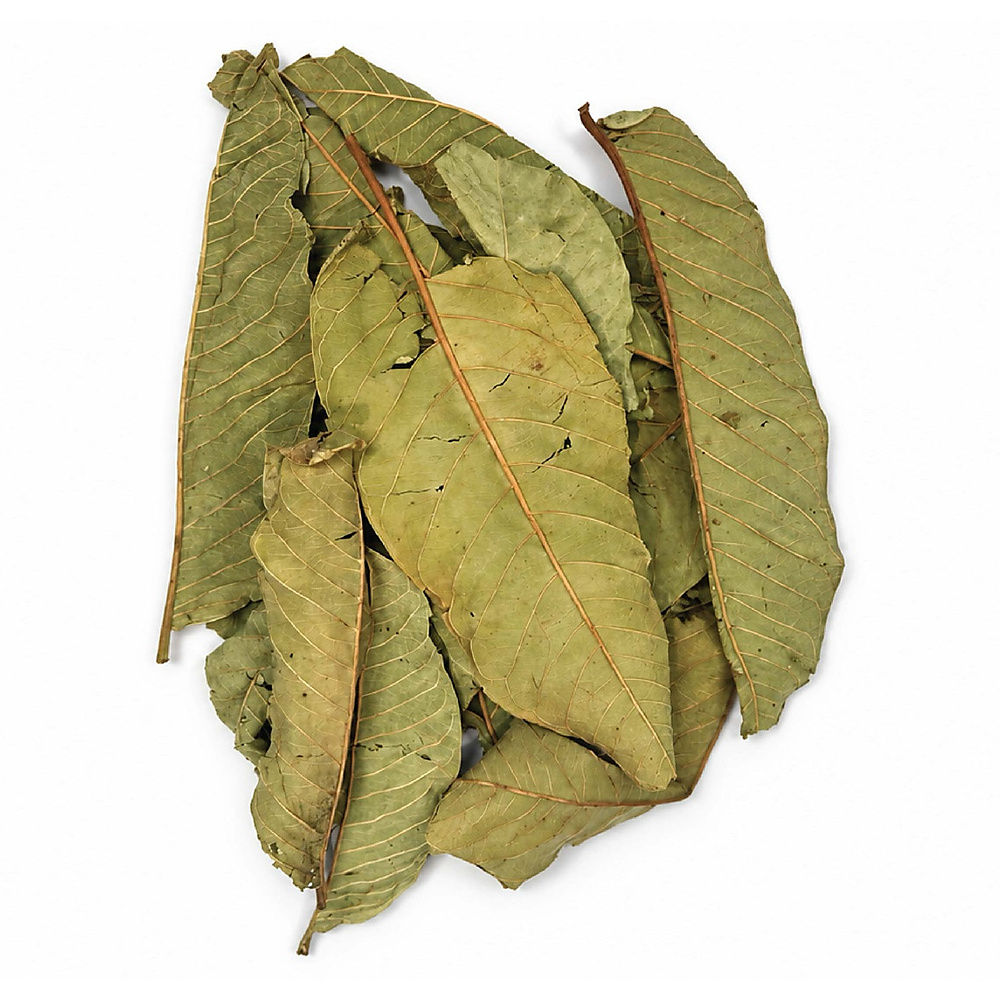 ورق الجوافه
