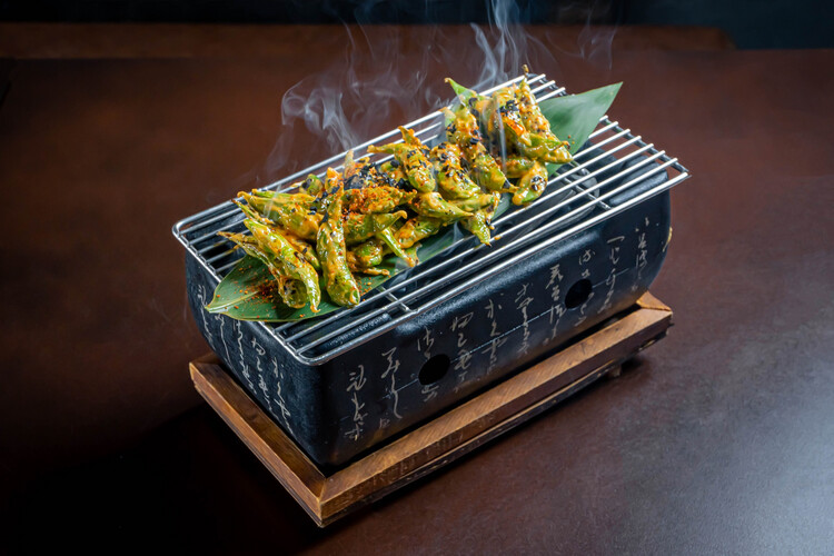 سبايسي ادامامي