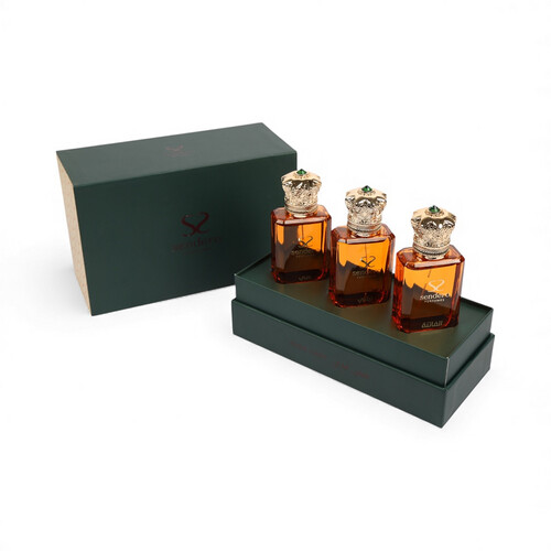 مجموعة ميس ليدي