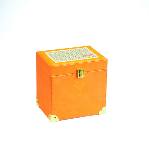 مجموعة فيوتشر