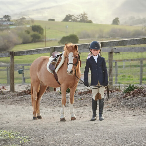 Show Jumping Competition Outfit
