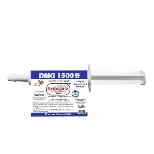 DMG 1500 Paste