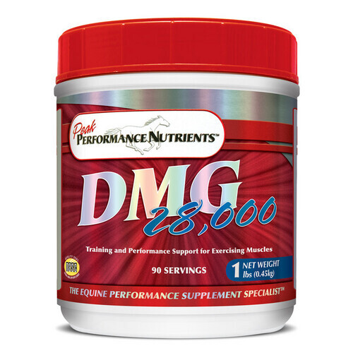 DMG 28000