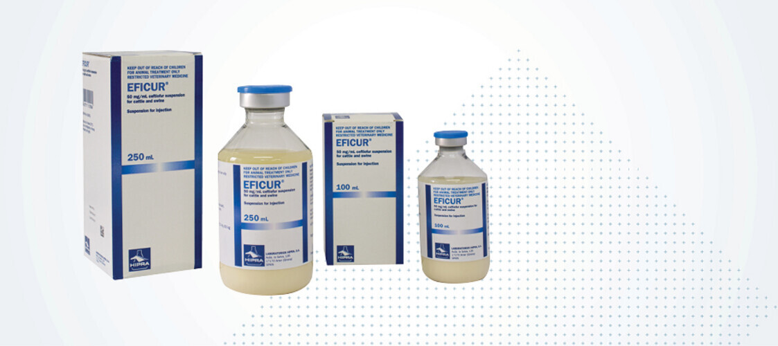Eficur 100ml