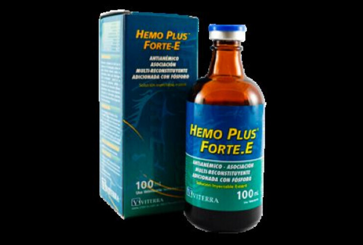 HemoForte plus