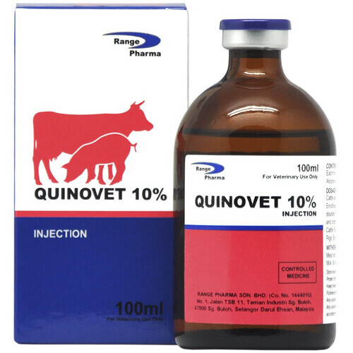 Quinovet 10%100ml