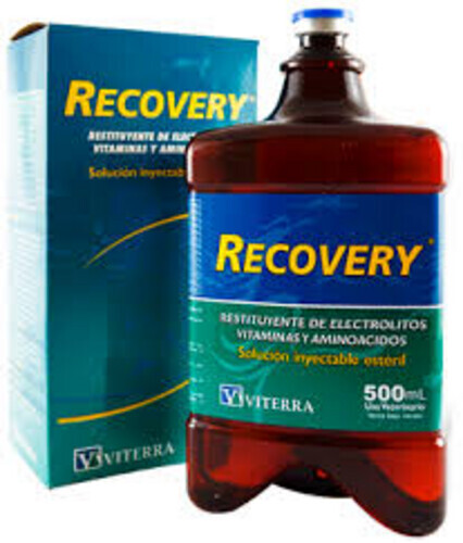 Recovery